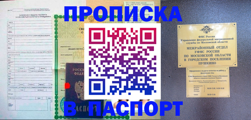 временная регистрация госуслуги в Купино